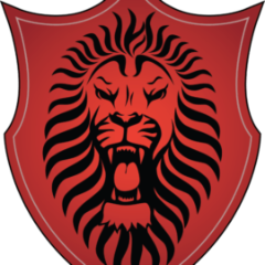 RNS Technology Services logo